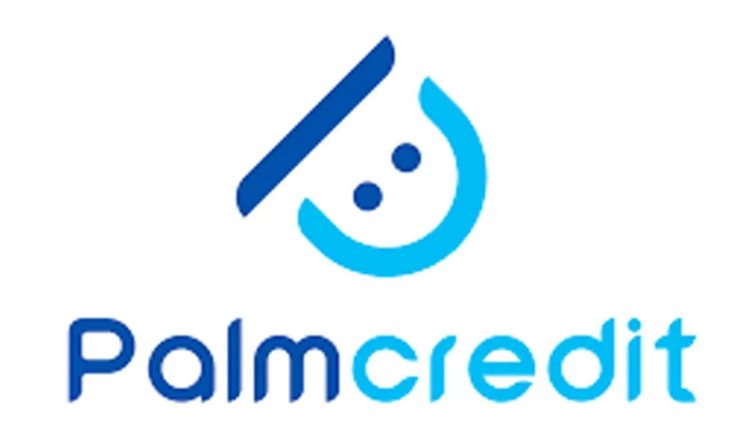 Palmcredit Loan Review